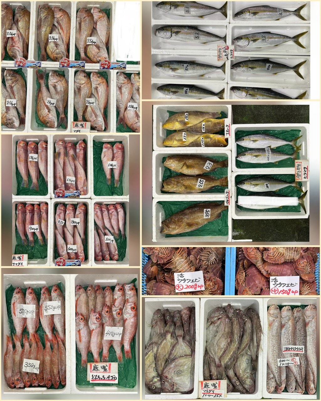 10月22日 入荷写真1