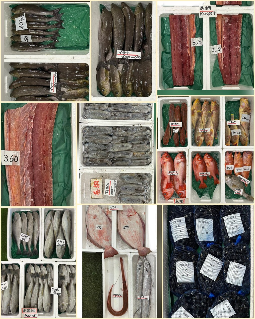 10月22日 入荷写真2
