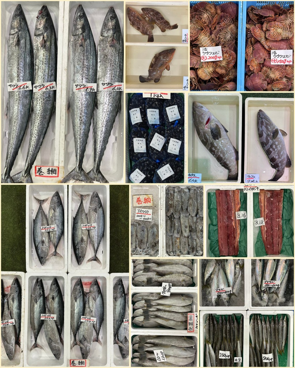 10月23日 入荷写真2