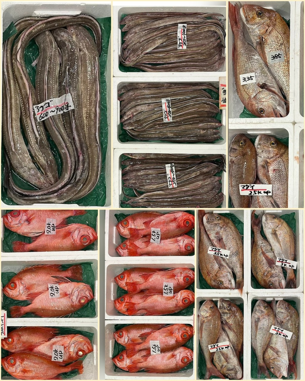 10月28日 入荷写真1