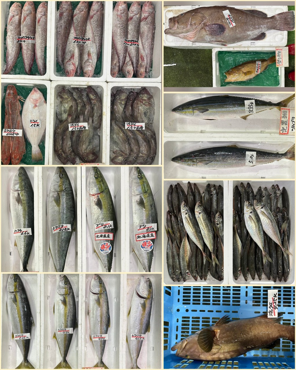 10月28日 入荷写真2