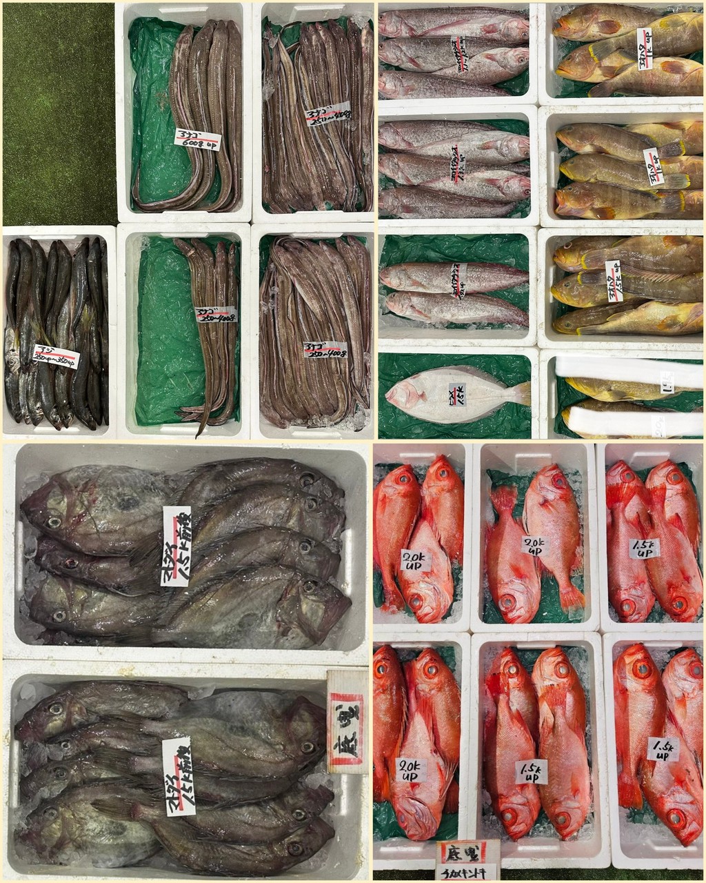 10月29日 入荷写真1