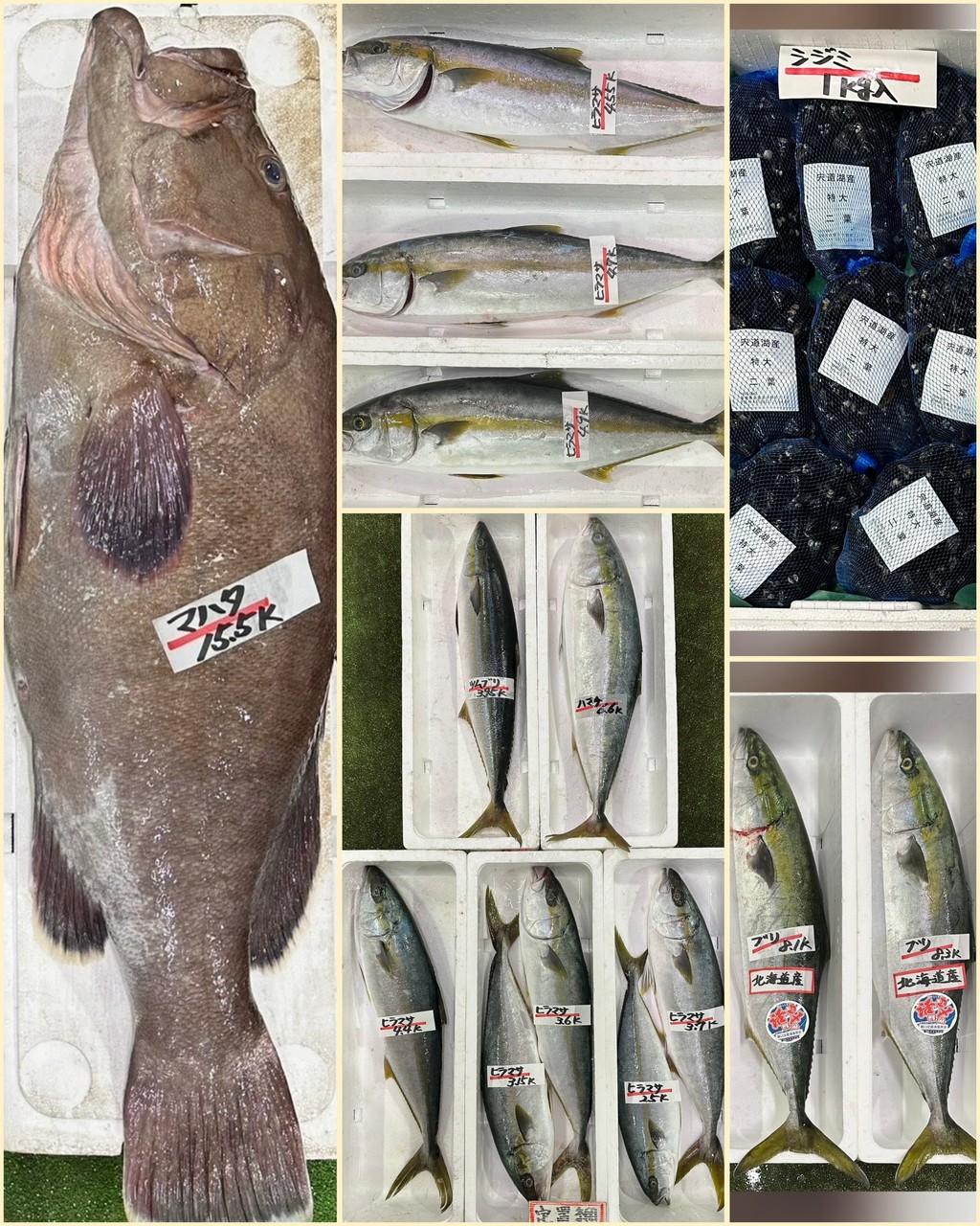 10月29日 入荷写真2