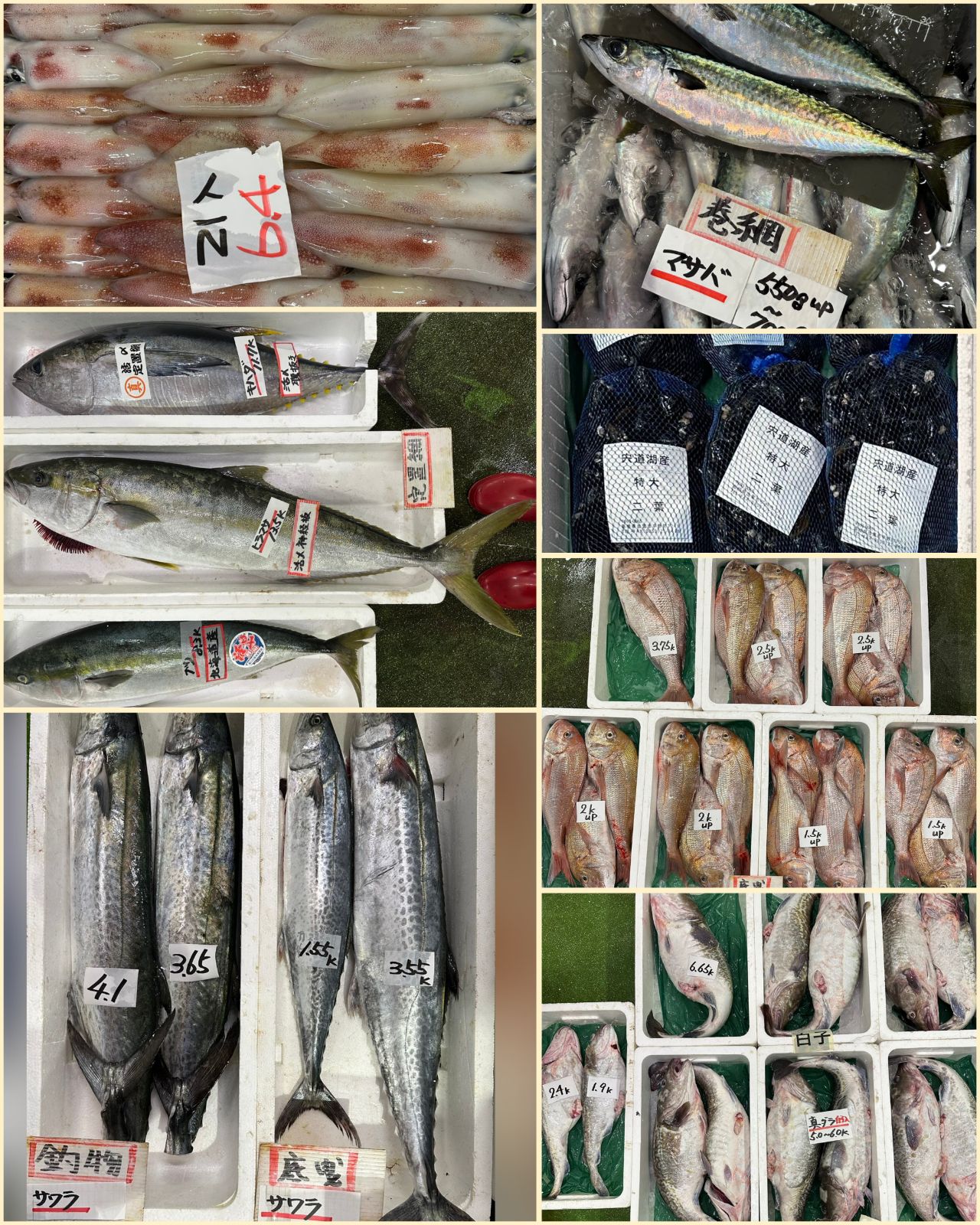 10月30日 入荷写真1