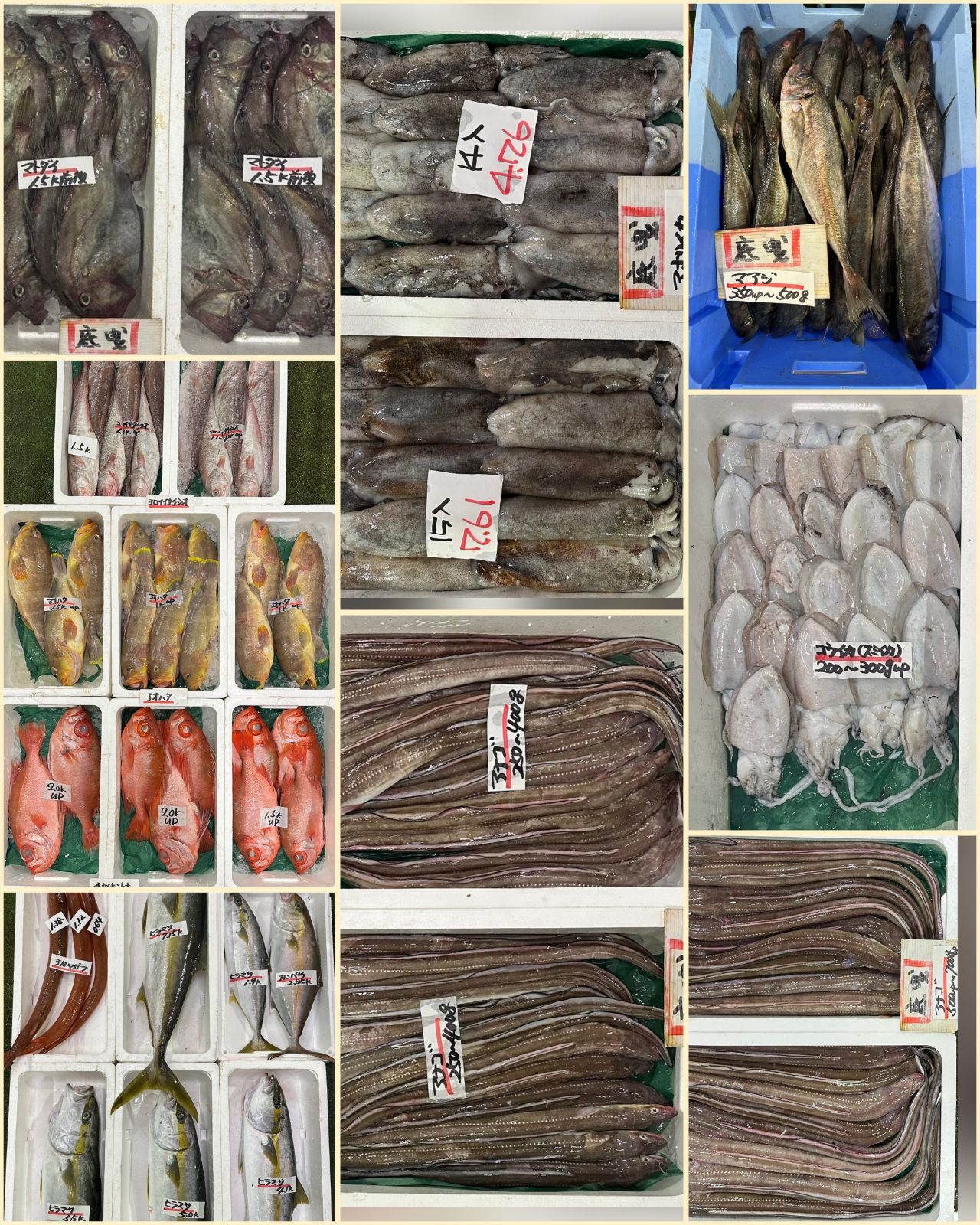 10月30日 入荷写真2