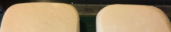 IMG_1753.jpg