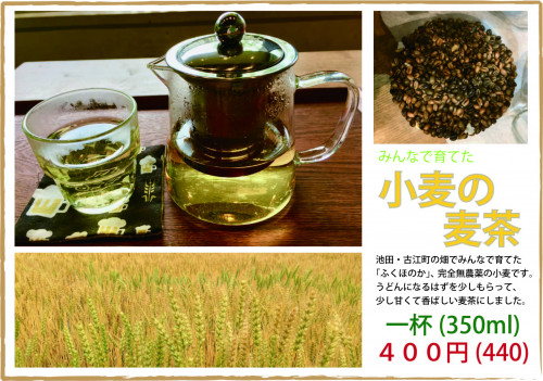 小麦の麦茶.jpg
