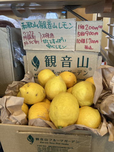 IMG_0856.jpeg