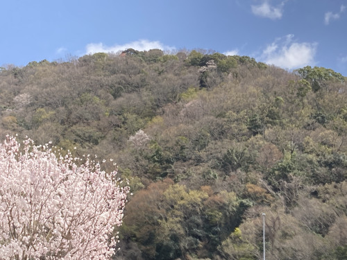 IMG_1485.jpeg