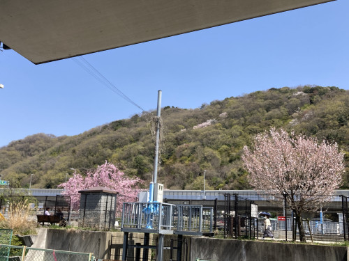 IMG_1585.jpeg