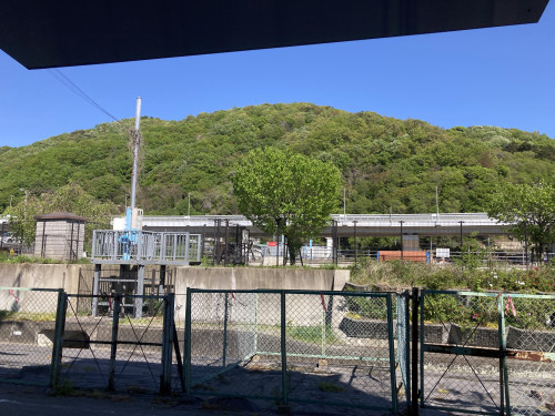 IMG_2034.jpeg