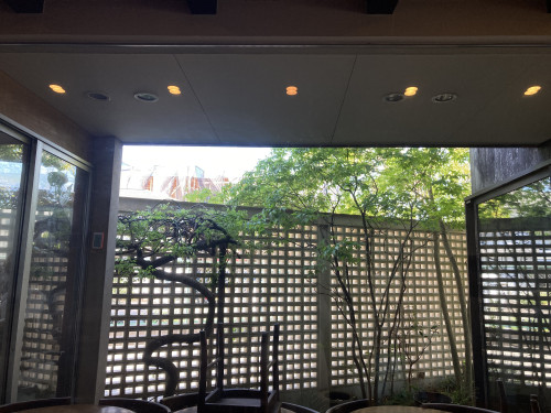 IMG_2038.jpeg