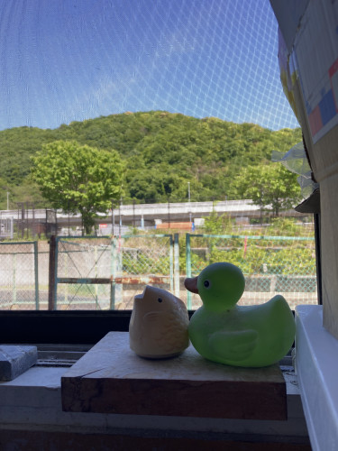 IMG_2231.jpeg
