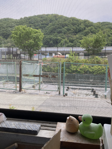  2025年5/21(水)〜25(日)昼営業11時半〜14時※24(土)休み。 レッドムーンとインカのめざめホクホクサラダ、筍ご飯、桑の実ゼリー、ふじ林檎のパウンドケーキ。 