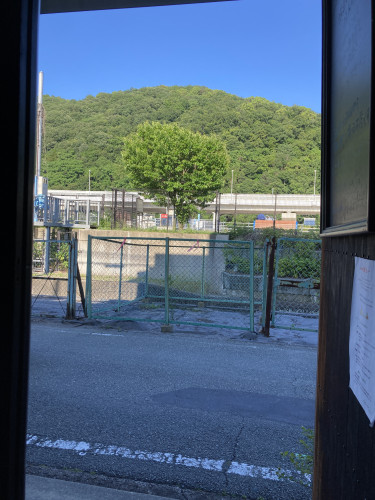 IMG_3181.jpeg