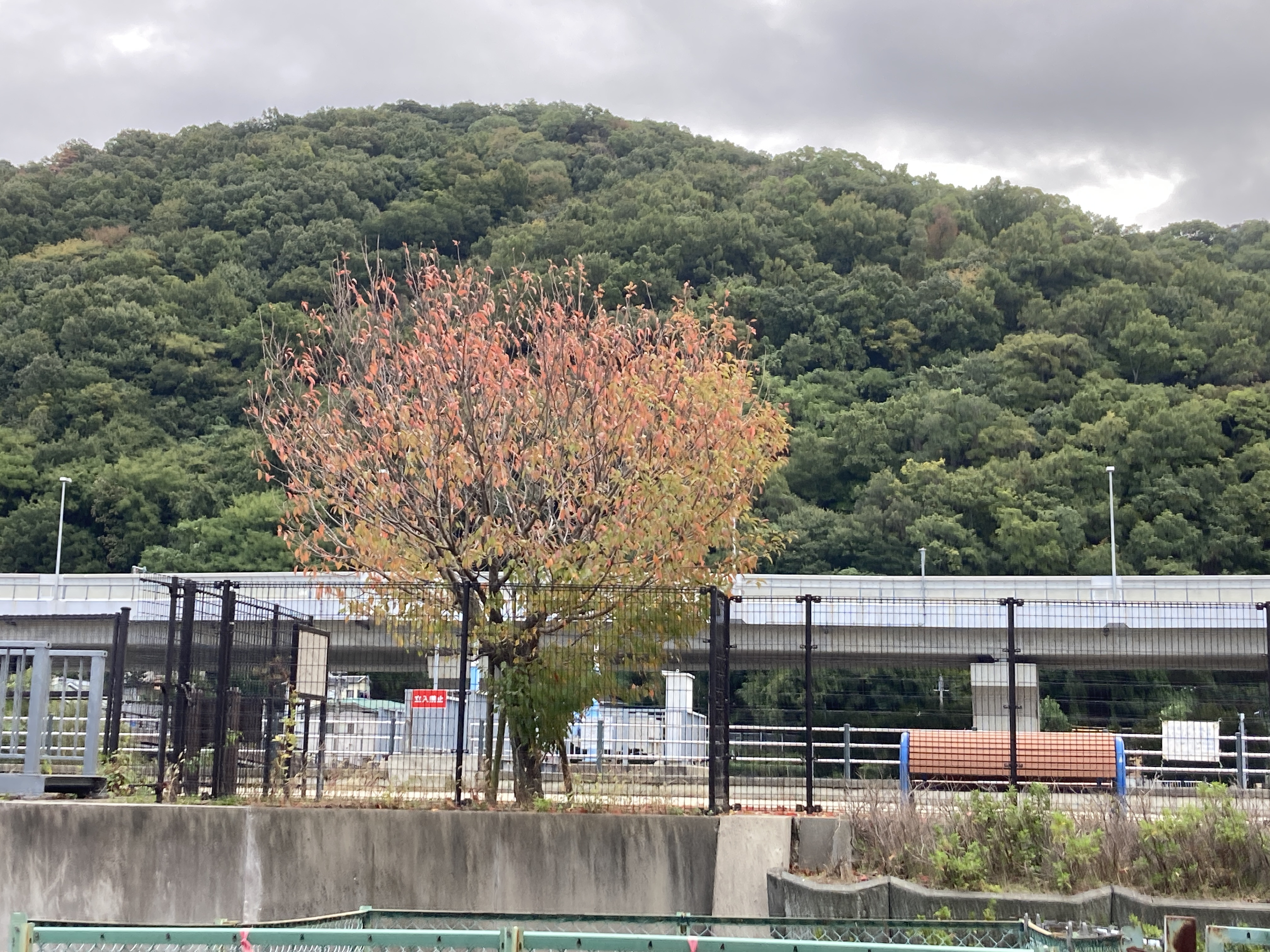 11/7(金) 2階カフェは貸切のためお休みです。