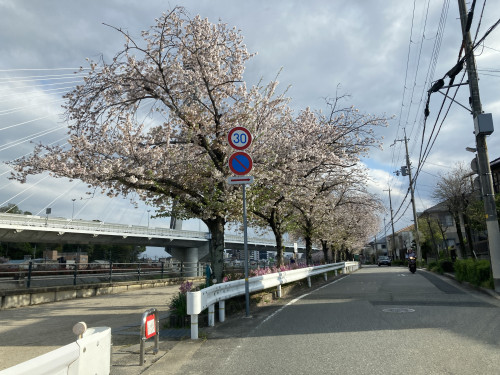 IMG_9884.jpeg