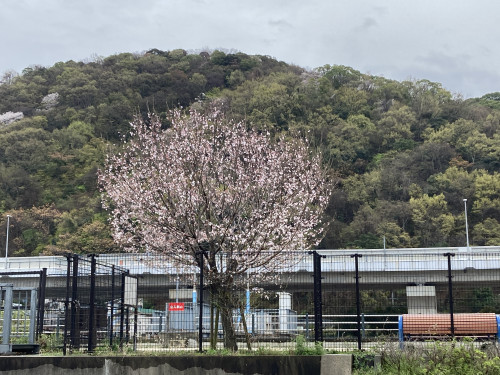 IMG_9834.jpeg