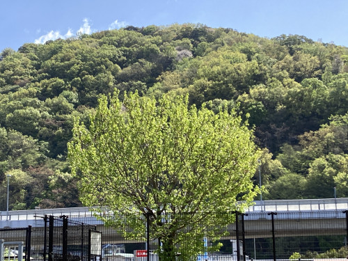 IMG_0057.jpeg