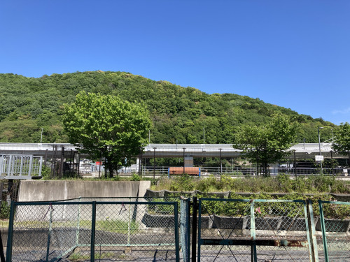 IMG_0395.jpeg