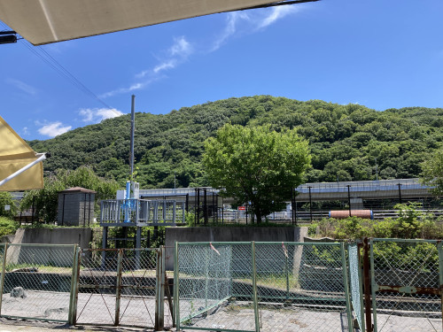 IMG_1021.jpeg