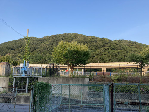 IMG_1860.jpeg