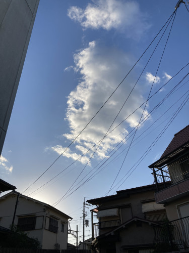 IMG_2726.jpeg