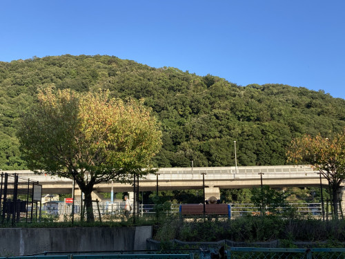 IMG_2734.jpeg