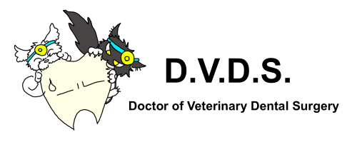 D.V.D.S.｜動物のための歯科医療