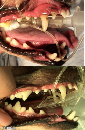 スクリーンショット 2017-09-10 22.44.31.png