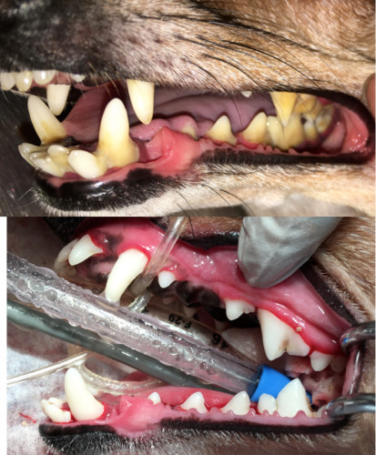スクリーンショット 2017-09-10 22.43.39.png