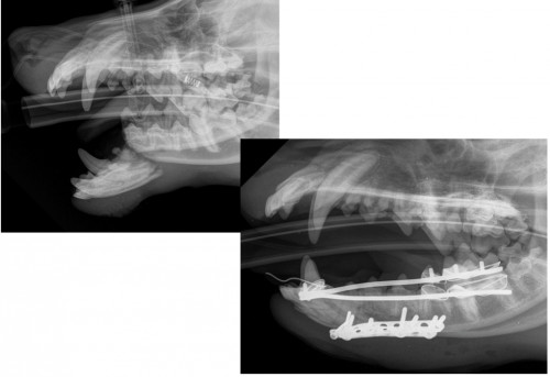 スクリーンショット 2017-11-27 21.20.46.png