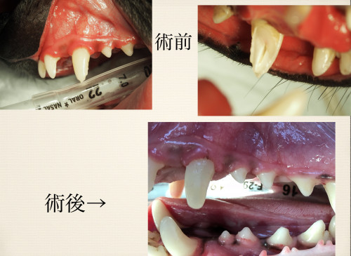 スクリーンショット 2018-01-15 21.36.14.png