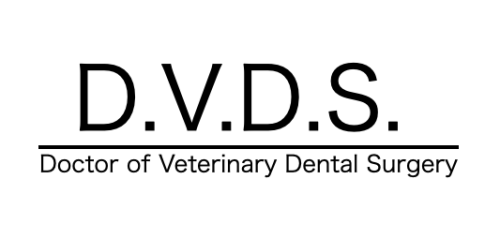 D.V.D.S.｜動物のための歯科医療