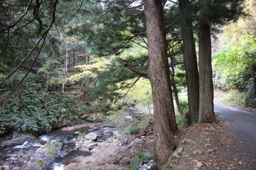 菅谷川.JPG