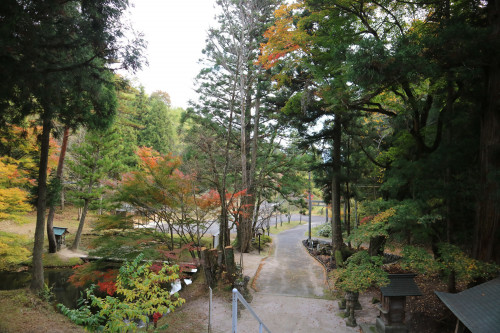本社石段上より鳥居を見る.JPG