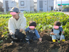 20241108_芋ほり.jpg