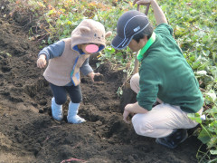 20241108_芋ほり②.jpg