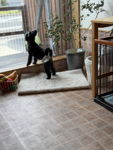 キャンセルポリシー