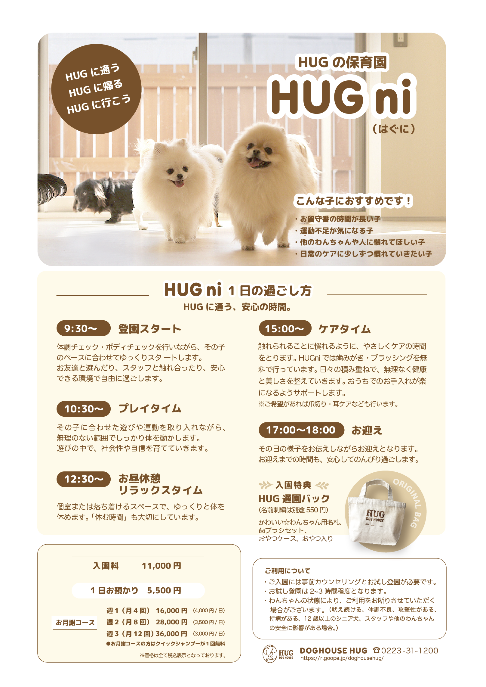 HUGni保育園6月より開園 - ドッグサロン 岩沼市 DOG HOUSE HUG