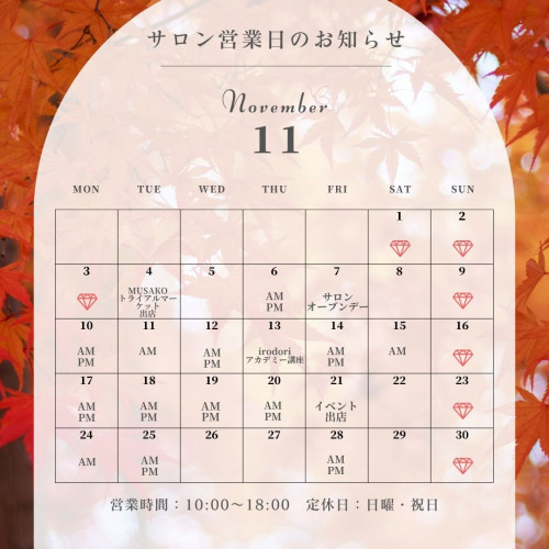25.11.jpg