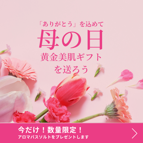 母の日ギフト (1).png