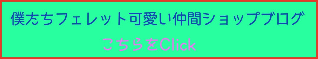 僕たちフェレット可愛い仲間ショップブログバナー
