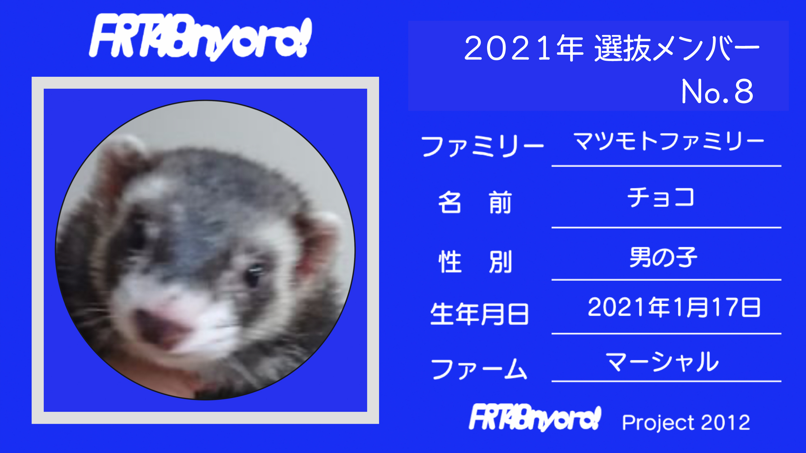 FRT48nyoro!2021年選抜メンバーNo.8チョコ.jpg