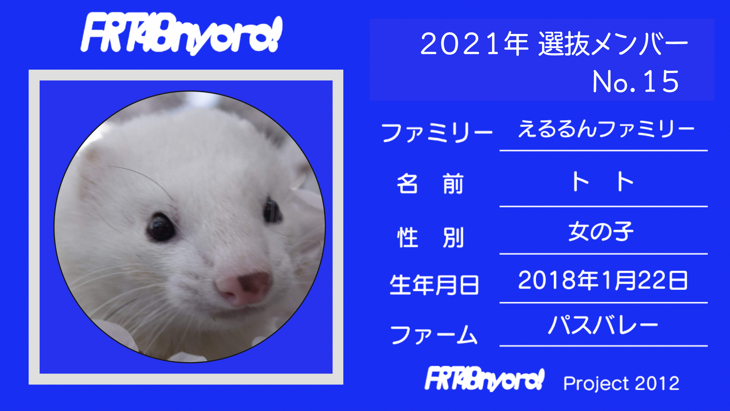 FRT48nyoro!2021年選抜メンバーNo.15トト.jpg
