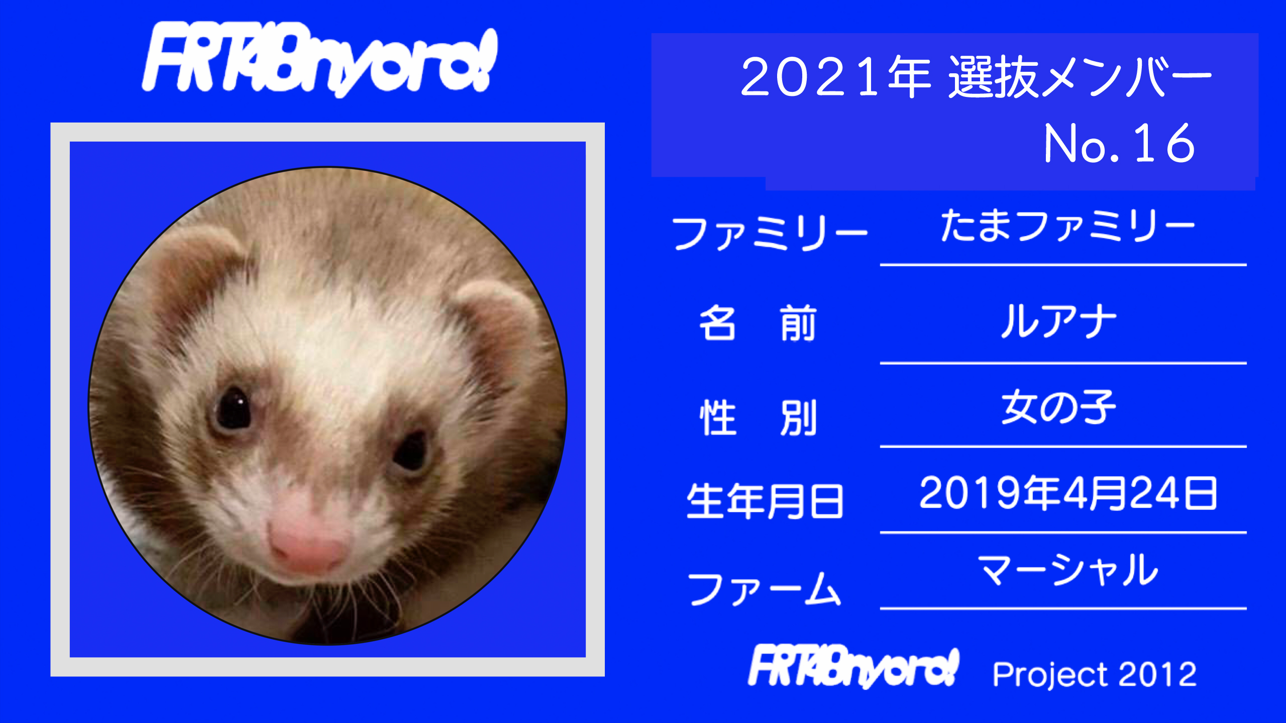 FRT48nyoro!2021年選抜メンバーNo.16ルアナ.jpg