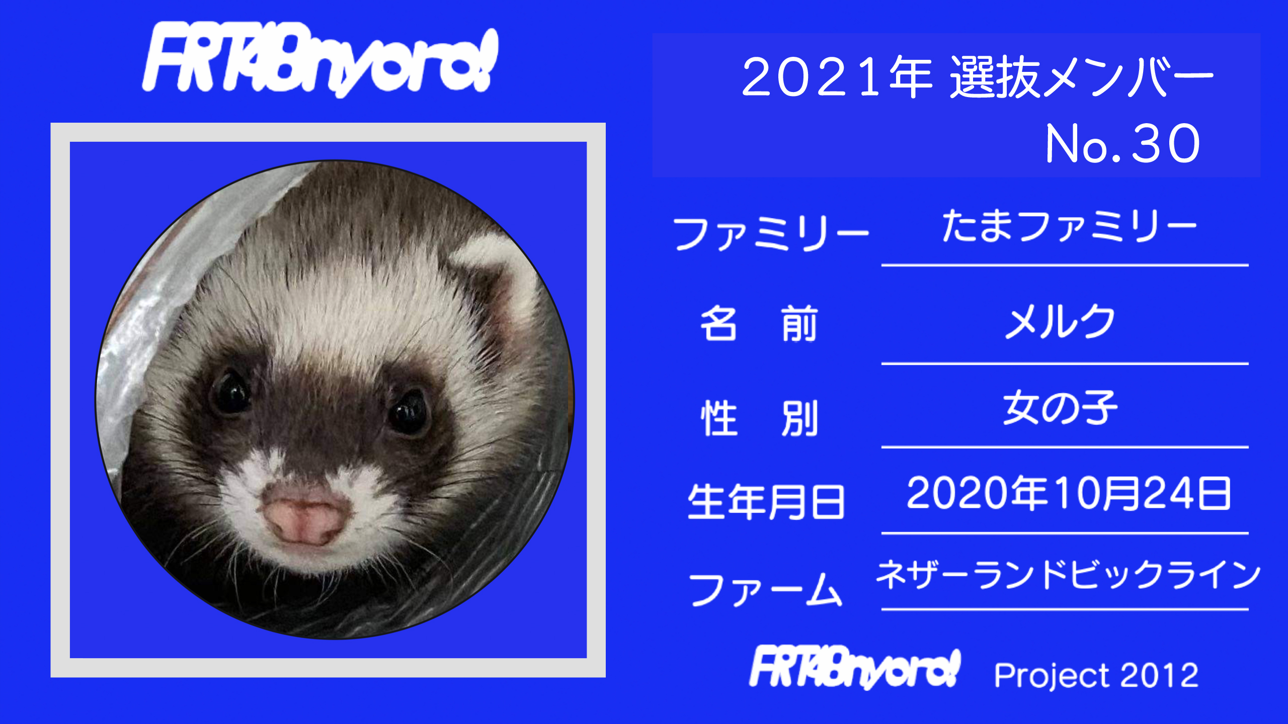 FRT48nyoro!2021年選抜メンバーNo.30メルク.jpg