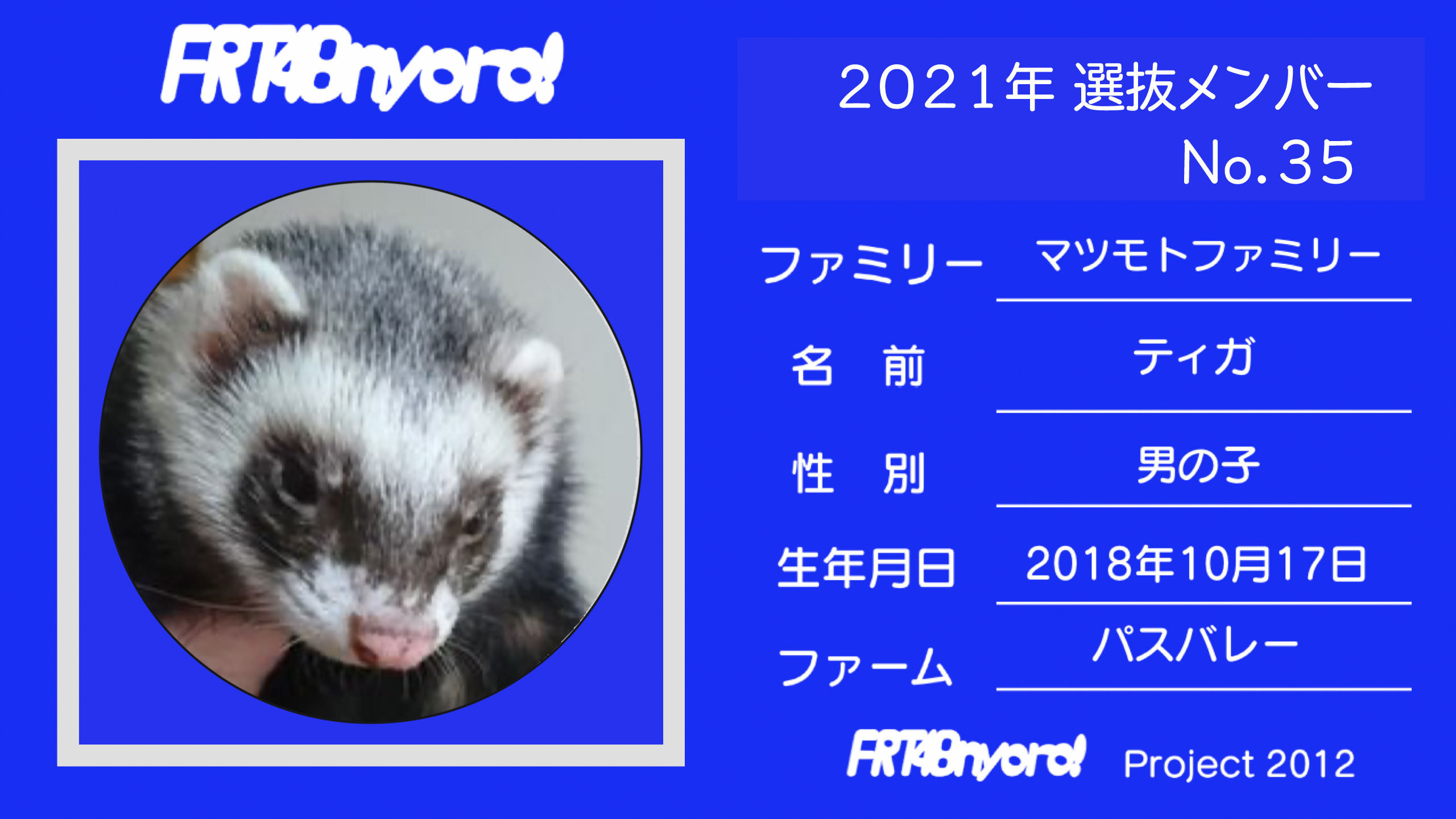 FRT48nyoro!2021年選抜メンバーNo.35ティガ.jpg