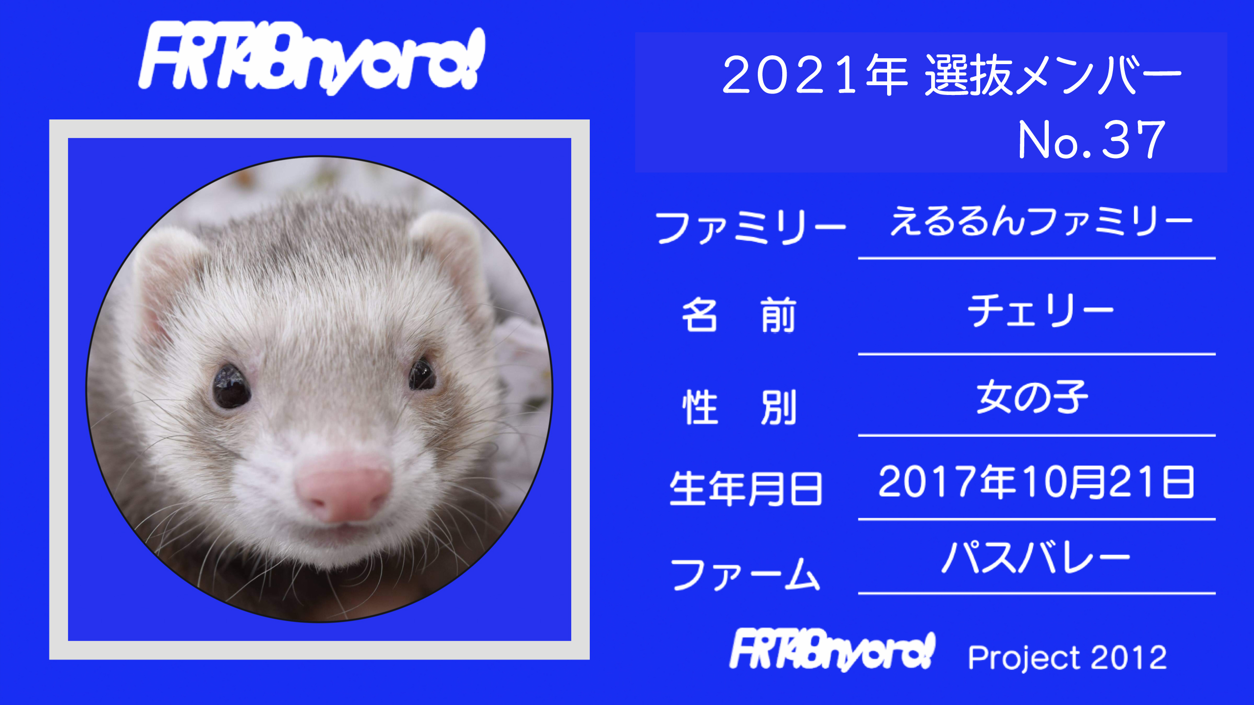 FRT48nyoro!2021年選抜メンバーNo.37チェリー.jpg