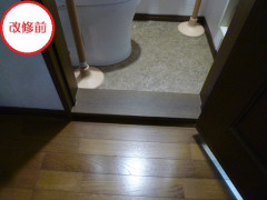 toilet_a2.jpg